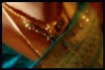 Anya's Guest2