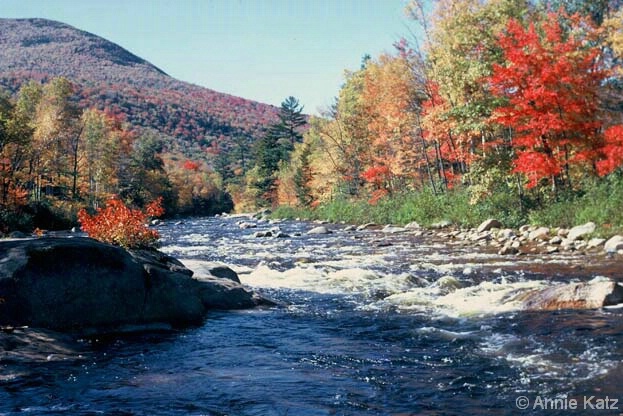 Autumn in Maine - ID: 4652056 © Annie Katz