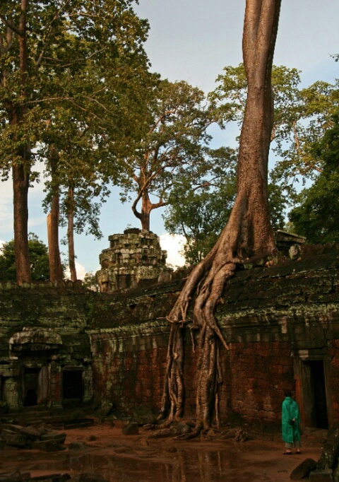 Monk at Angkor Wat