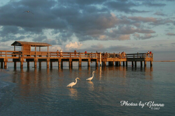 Good Morning Sanibel !