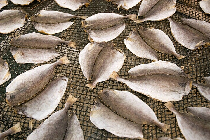 Dried Fish - ID: 4658108 © Mike Keppell