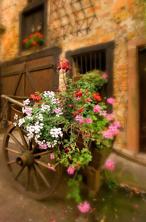 Flower Cart