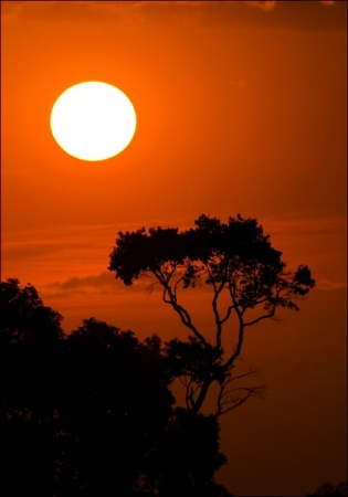 Tanzanian Sunset