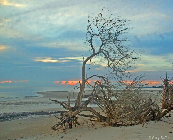 Early Morning, Little Talbot Island