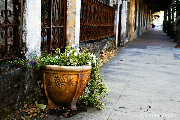 Sonoma Sidewalk