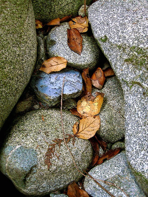 Autumn Stones