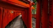 Fushimi-Inari tor...