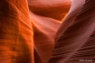 Antelope Abstract