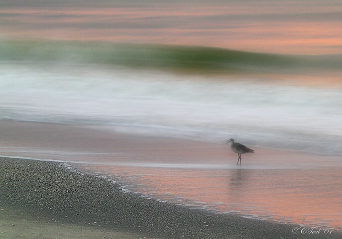 An Evening Walk