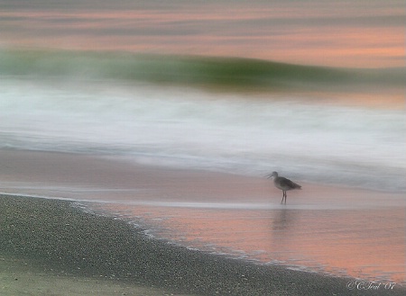 An Evening Walk