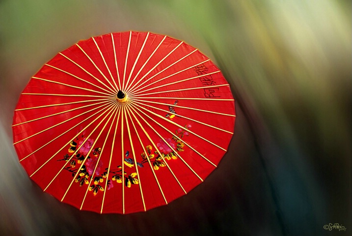 The Red Umbrella