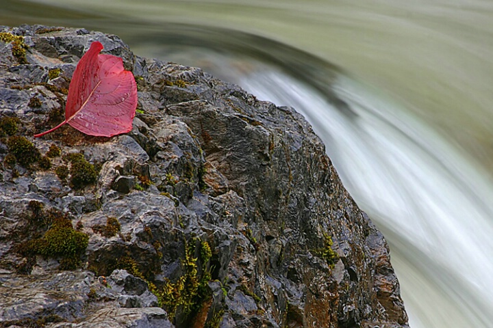 Falling Into Fall