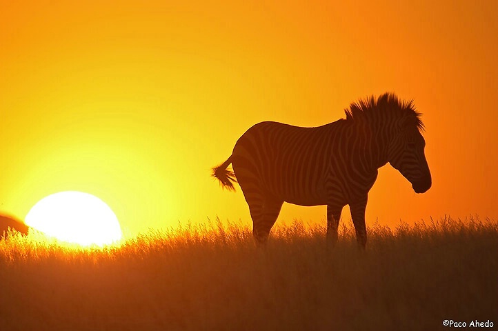 Namibia sunset.