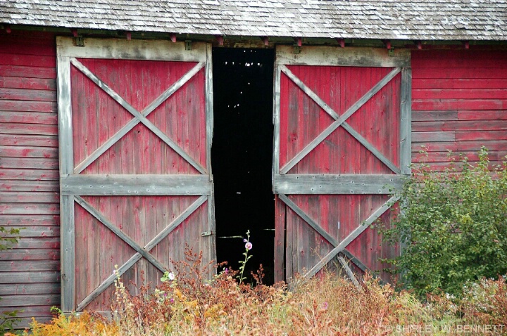 DOORS OF FAVORITE BARN - ID: 4711631 © SHIRLEY MARGUERITE W. BENNETT