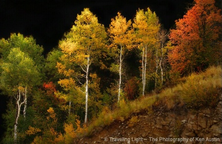 Colors of Autumn ~ Utah's Logan Canyon