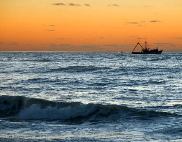 Fishing At Sunrise