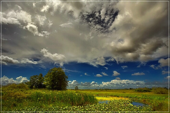 Everglades