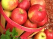 The Apple...