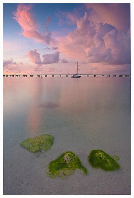 A Bit Of Green - Key West, Florida
