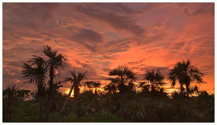 Fiery Sunset - Key West Florida