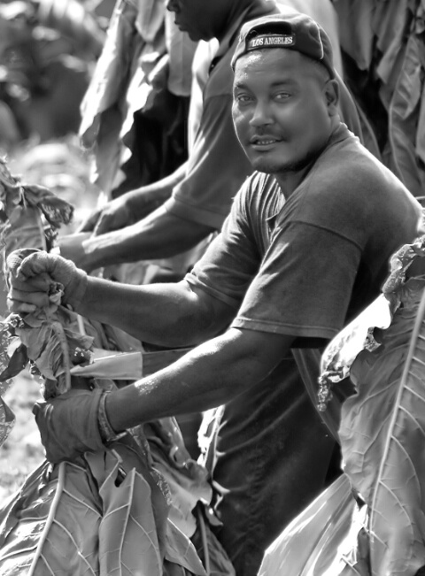 Portrait Of A Migrant Worker