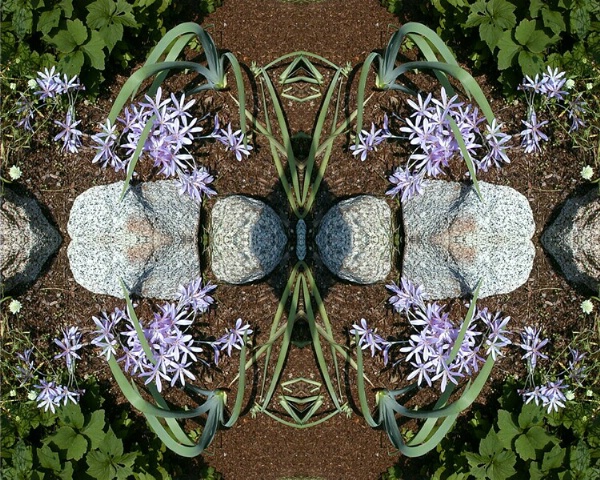 Fall crocus kaleidoscope