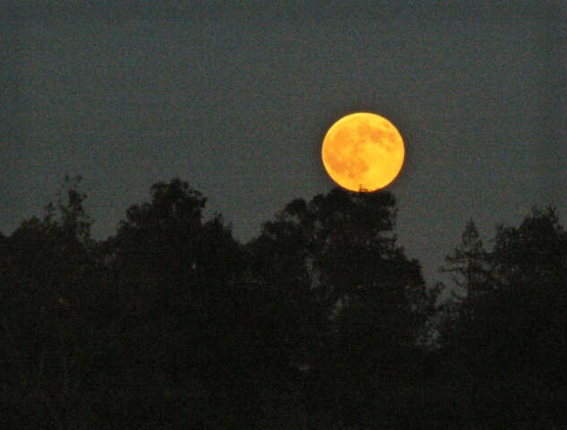Harvest Moon over Vasona 