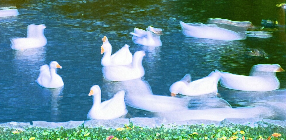 Swan Lake