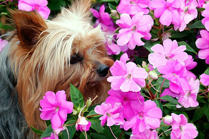 Stop and smell the flowers
