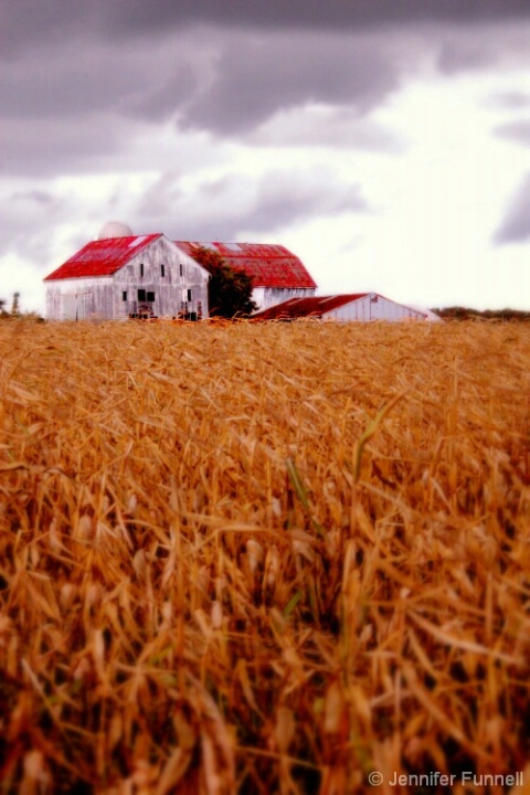 Harvest