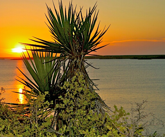 Parting Sunset Lake Amistad - ID: 4761990 © Emile Abbott