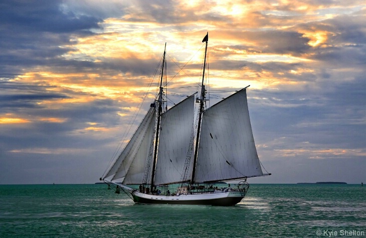 Sailing the Seven Seas