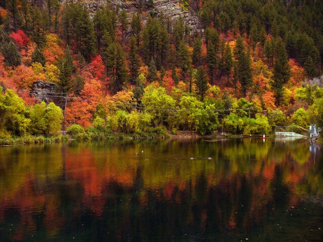 Fall Colors at Logan River