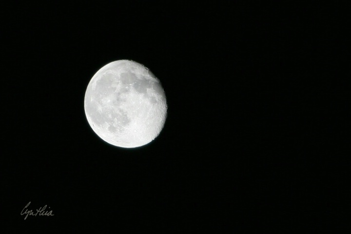 Moon Over Medford