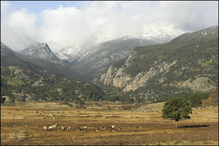 Moraine Park Meadow