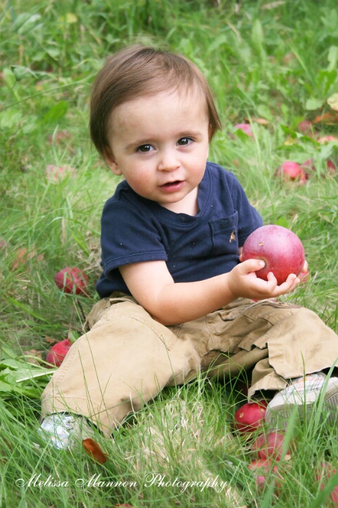 First  Apple Season