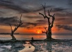 The Gulf Between ...