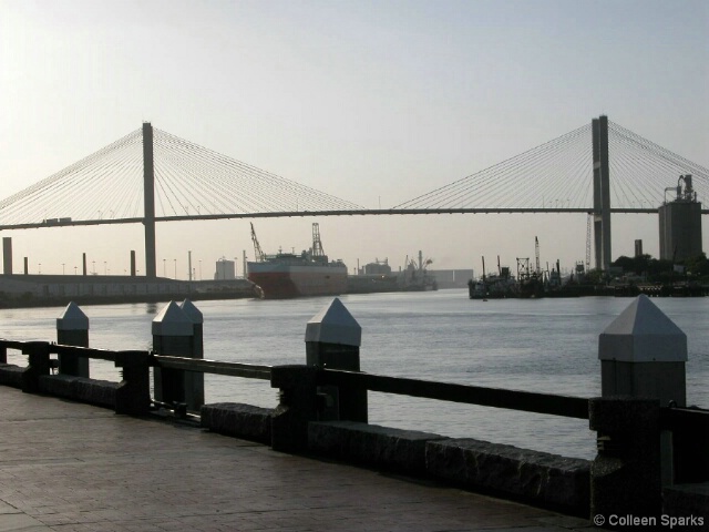 The Savannah Bridge