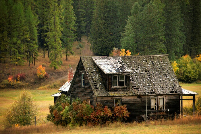 a first dusting ...