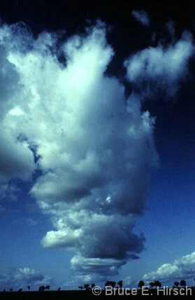 Clouds, Yankari Game Reserve, Nigeria - ID: 4785308 © Bruce E. Hirsch