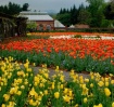 Springtime at the...