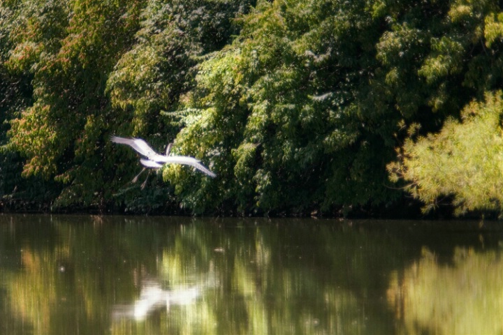 In Flight