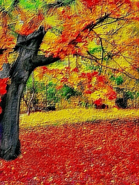 Autumn  Acrylic