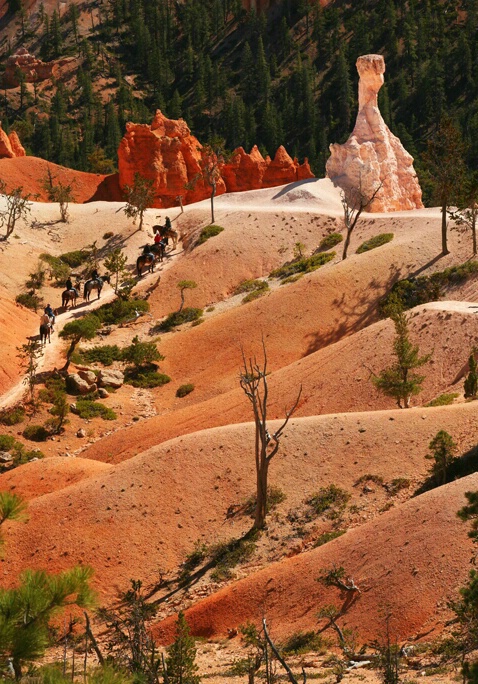 Along the Trail