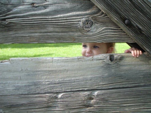 Peeking through the fence