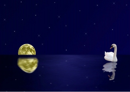 The swan and the moon
