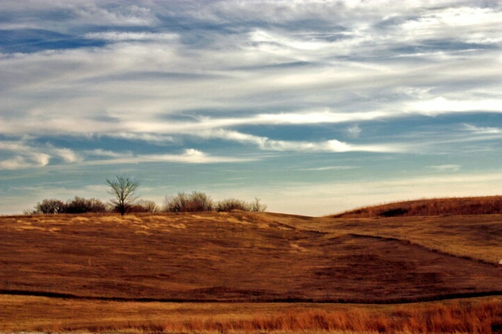 Prairie's Sky