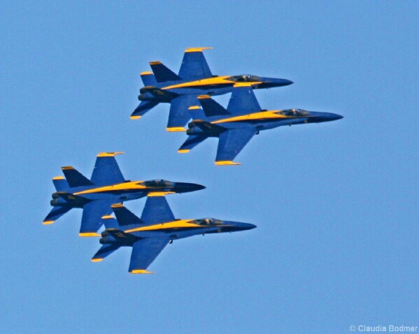 The Blue Angels - ID: 4811191 © Claudia/Theo Bodmer