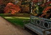 Autumn in the Par...