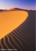 Desert Patterns